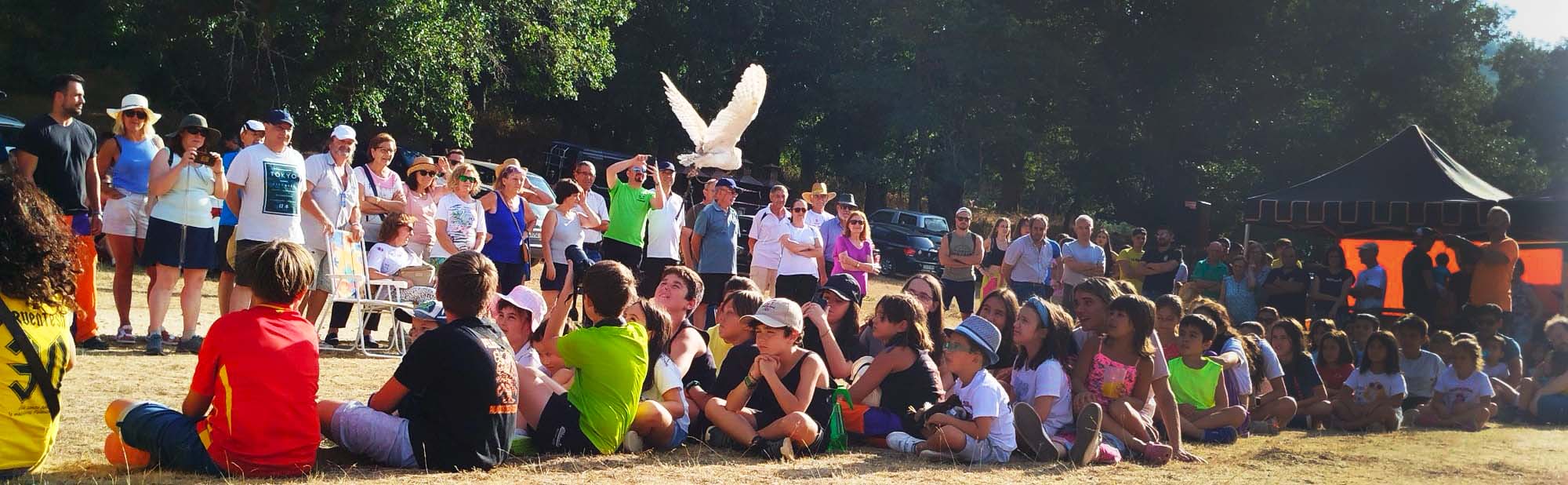 Despedida del Verano - Palacios de la Sierra 2024