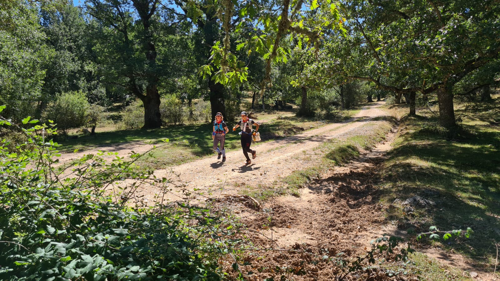 III TROFEO VALLE DEL ARLANZA- IV Prueba de la Liga Española de U-Rogaine 2024 y Campeonato de España de Iberogaine 3