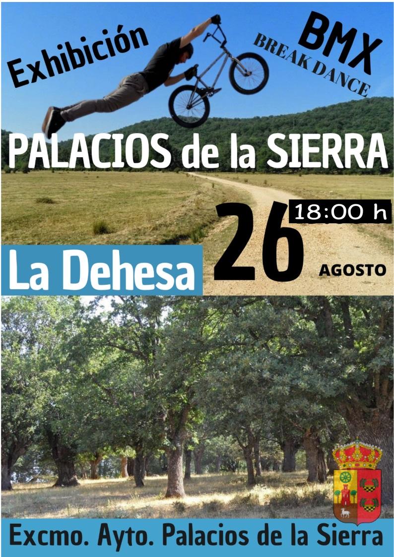 Cartel BMX