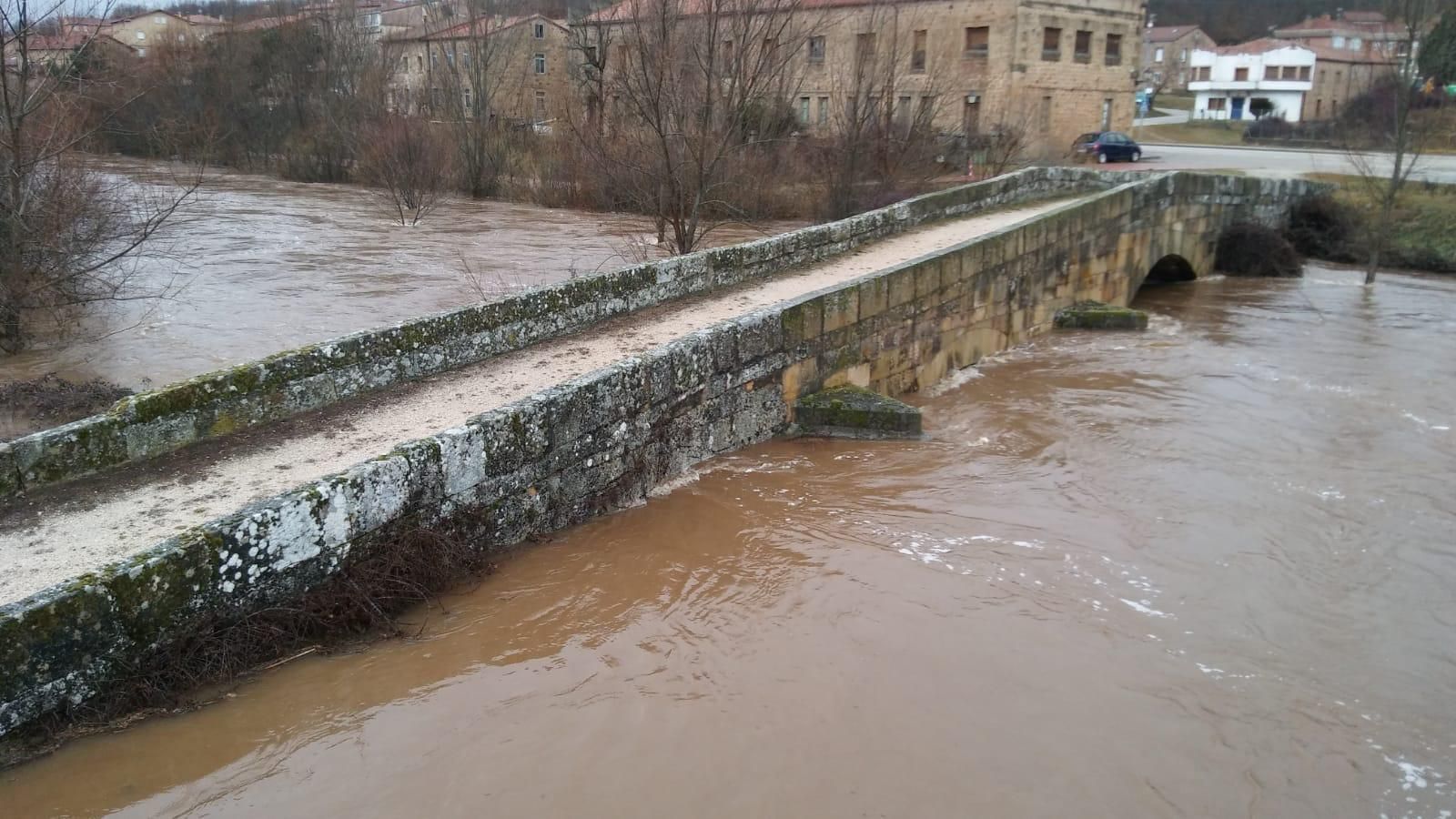Crecida del río Arlanza Palacios de la Sierra 31 enero 2019