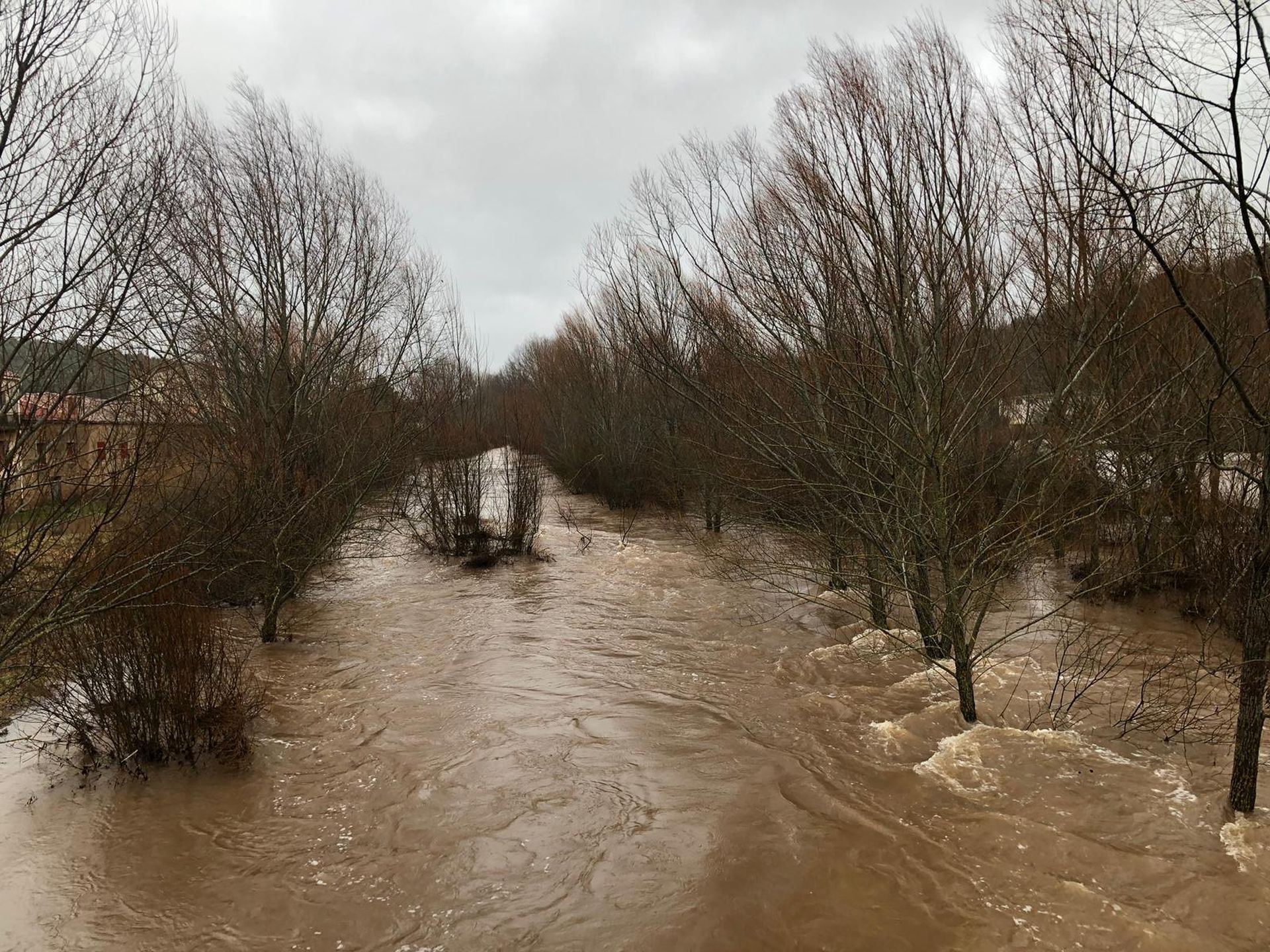 Crecida del río Arlanza Palacios de la Sierra 31 enero 2019
