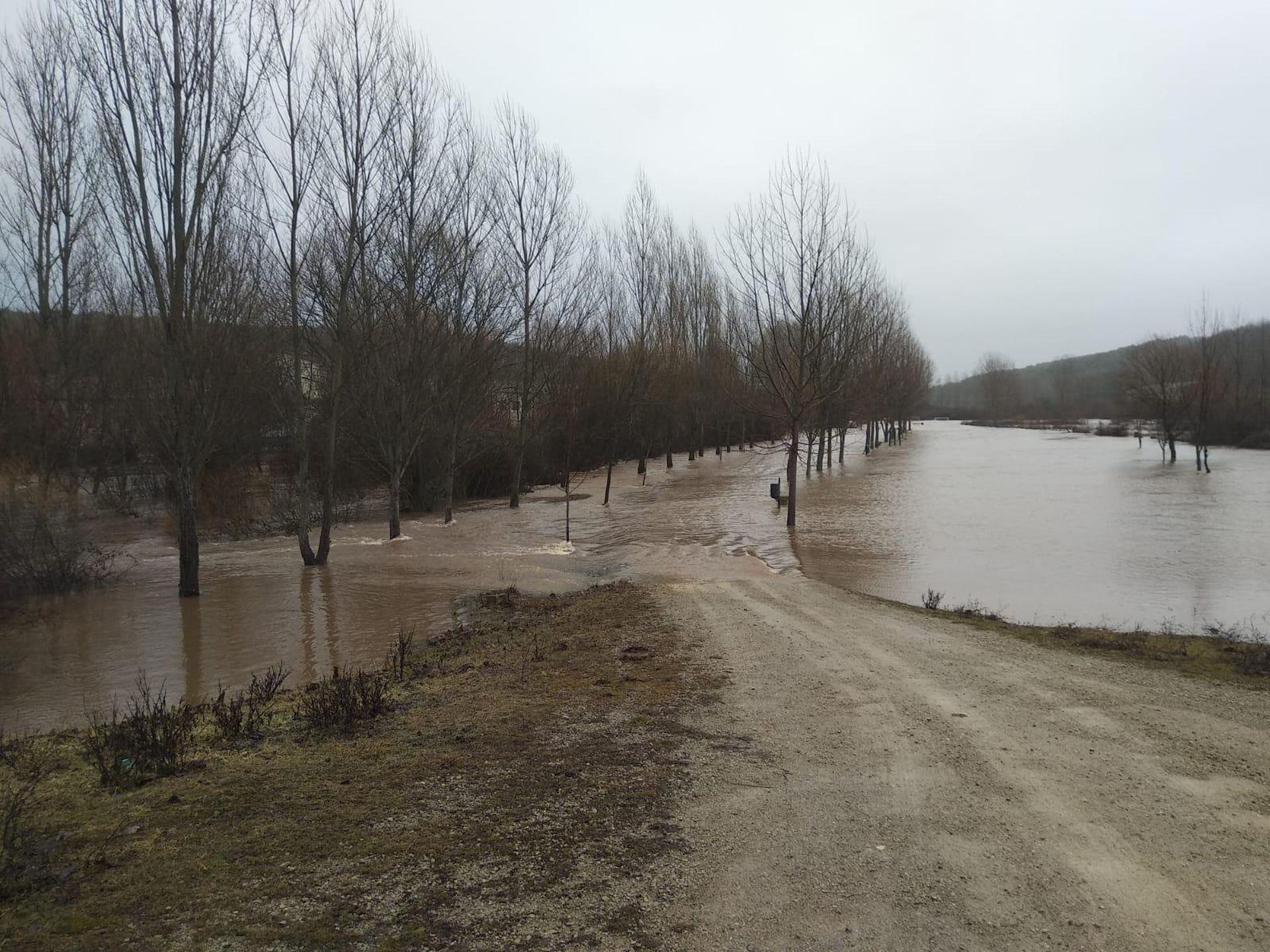 Crecida del río Arlanza Palacios de la Sierra 31 enero 2019