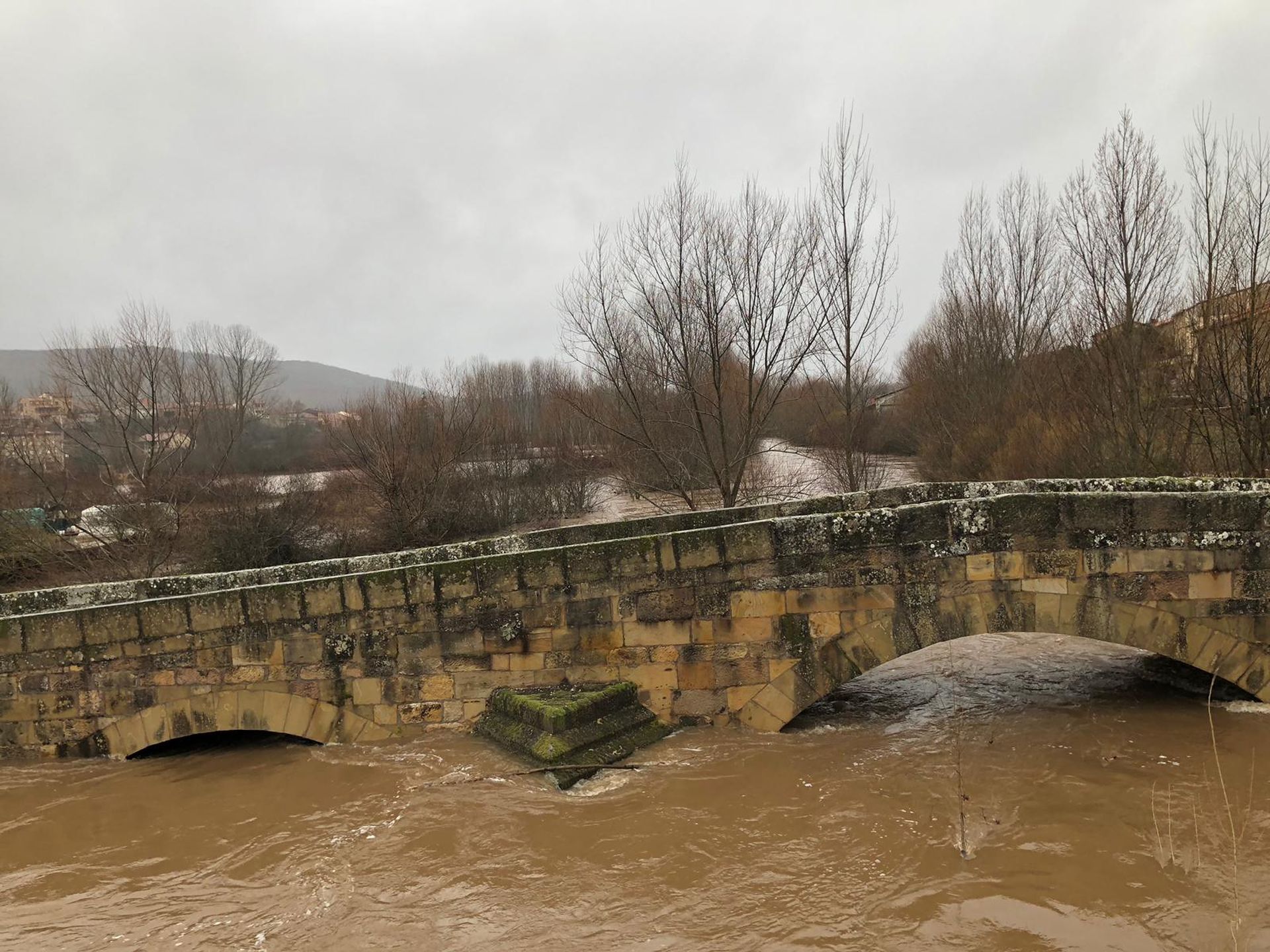 Crecida del río Arlanza Palacios de la Sierra 31 enero 2019