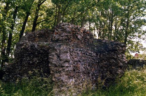 Ruinas romanas de "Los Paredones"