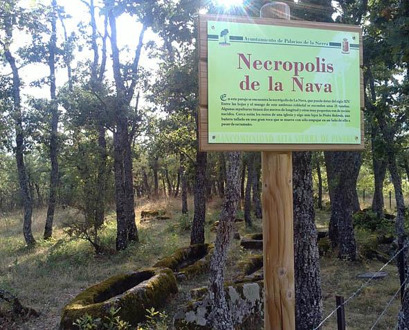 Necrópolis de Nava