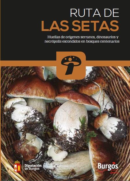 Rutas Gastronómicas: Ruta de las Setas